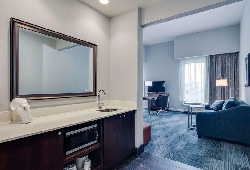 فندق Hampton Inn & Suites Rome