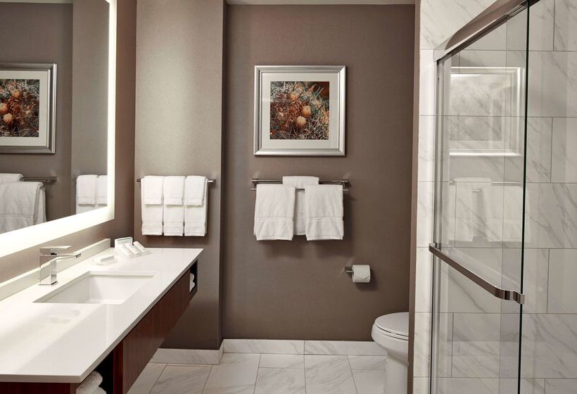 בית מלון כפרי Hilton Garden Inn Phoenix Downtown