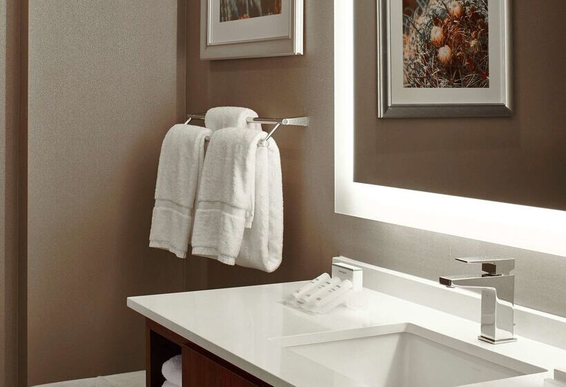 בית מלון כפרי Hilton Garden Inn Phoenix Downtown