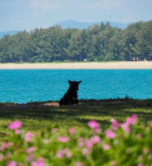 Ideo Phuket Hotel   Sha Extra Plus