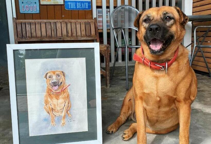 Ideo Phuket Hotel   Sha Extra Plus