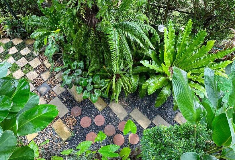 Ideo Phuket Hotel   Sha Extra Plus