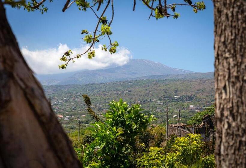 בית מלון כפרי Il Giardino Dei Sogni Agriturismo