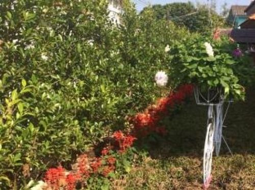 ホテル Isabel Boutique