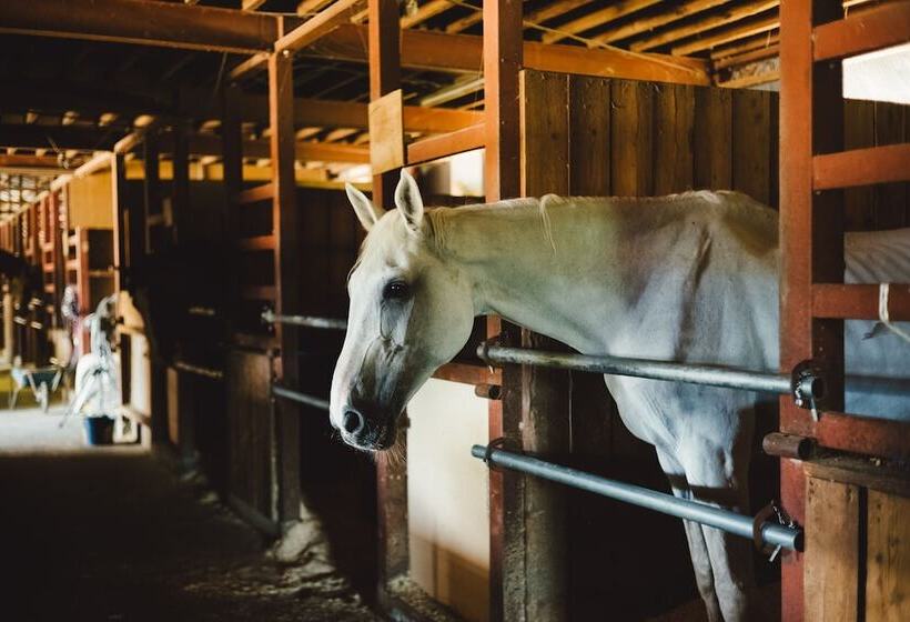 فندق Keyforest Hokuto