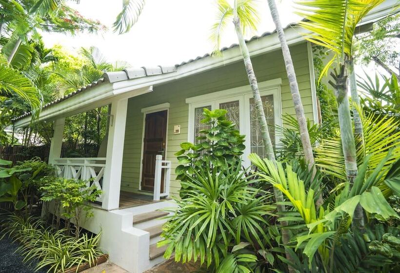 호텔 King S Garden Resort   Sha Plus