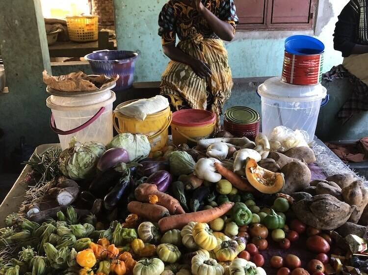 هتل Nemasu Ecolodge