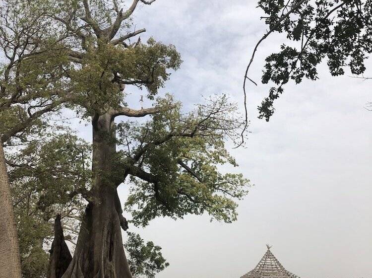 هتل Nemasu Ecolodge