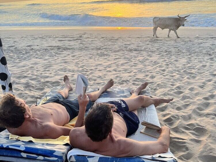 هتل Nemasu Ecolodge