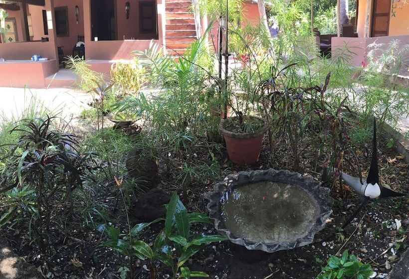 هتل Nemasu Ecolodge