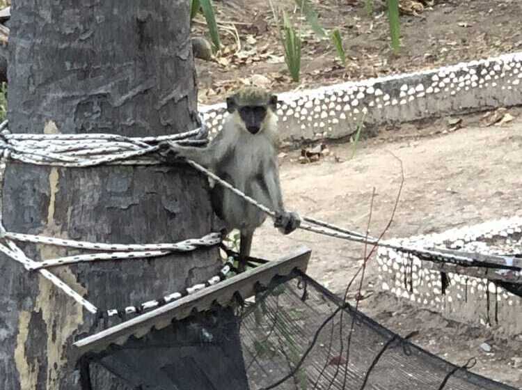 هتل Nemasu Ecolodge