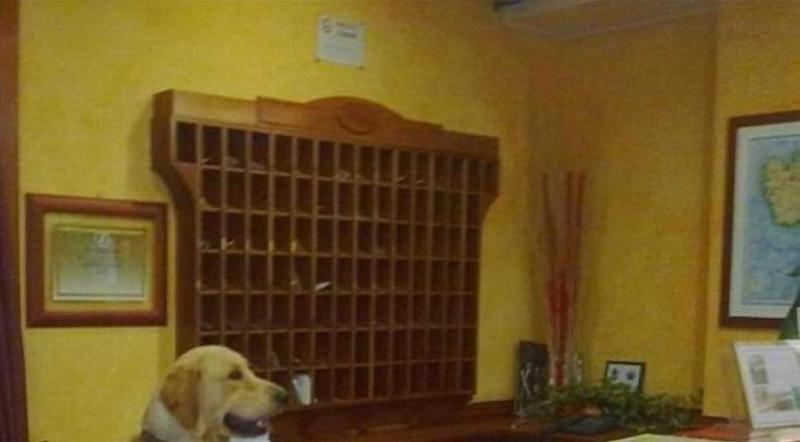 בית מלון כפרי Riz B.b