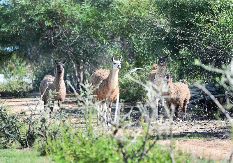 Отель Rurale Orti Di Nora & Spa