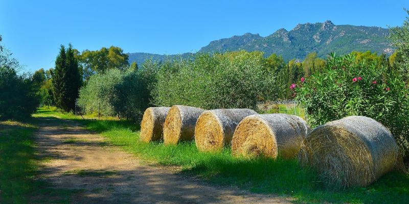 Отель Rurale Orti Di Nora & Spa