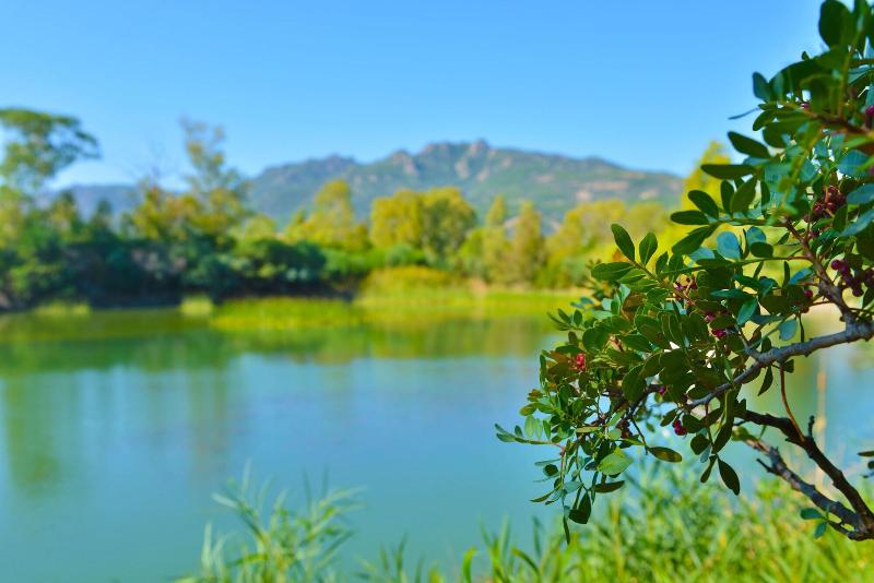 Отель Rurale Orti Di Nora & Spa