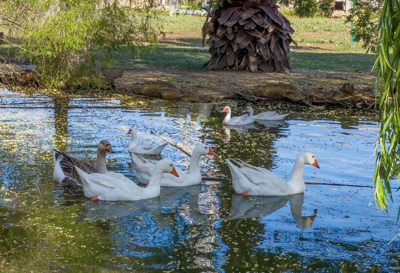 Отель Rurale Orti Di Nora & Spa