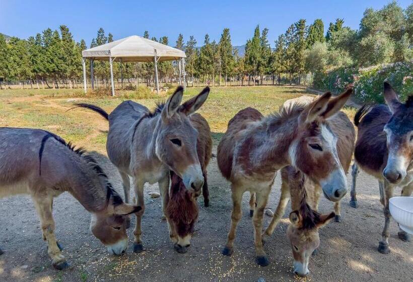 Отель Rurale Orti Di Nora & Spa