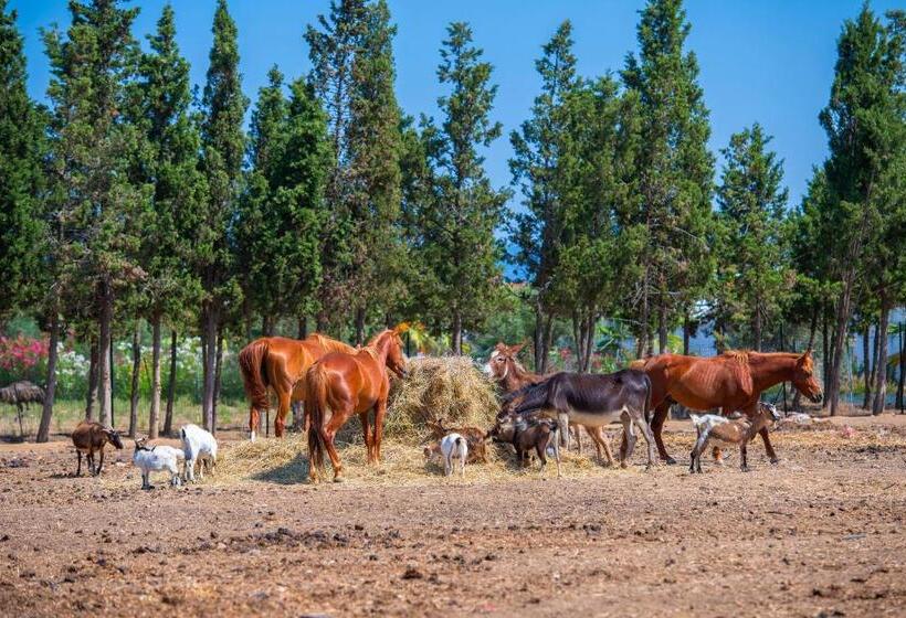 Отель Rurale Orti Di Nora & Spa