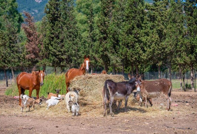 Отель Rurale Orti Di Nora & Spa