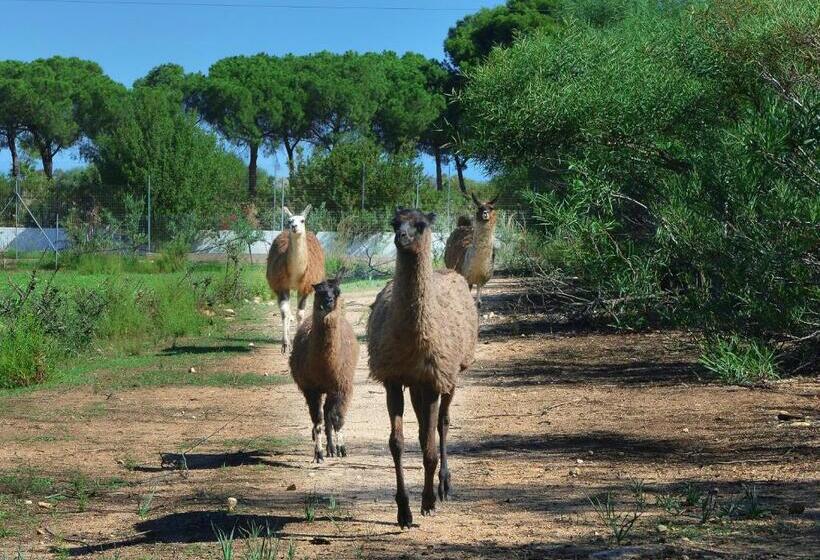 Отель Rurale Orti Di Nora & Spa