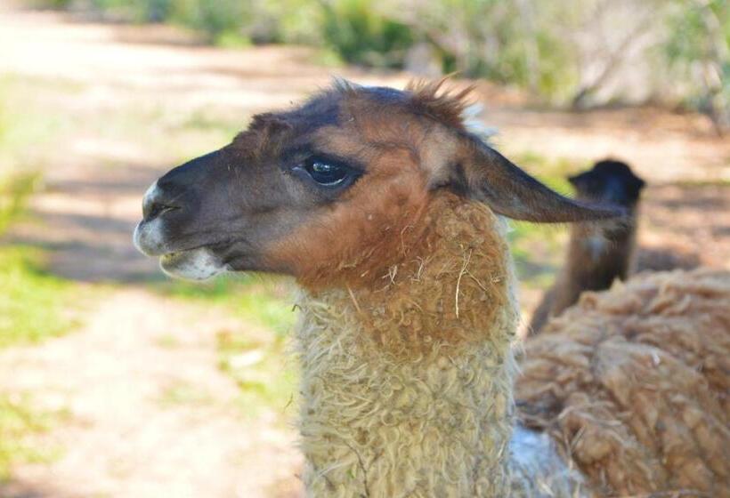 Отель Rurale Orti Di Nora & Spa