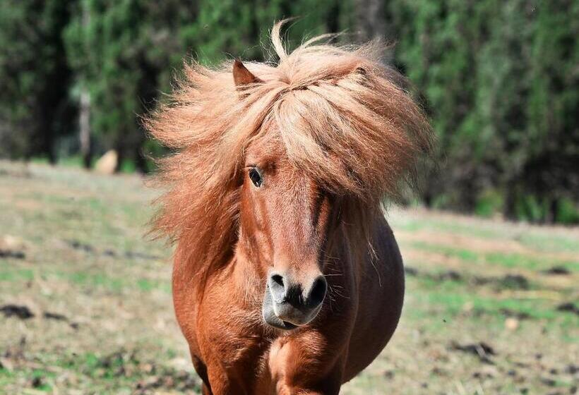 Отель Rurale Orti Di Nora & Spa