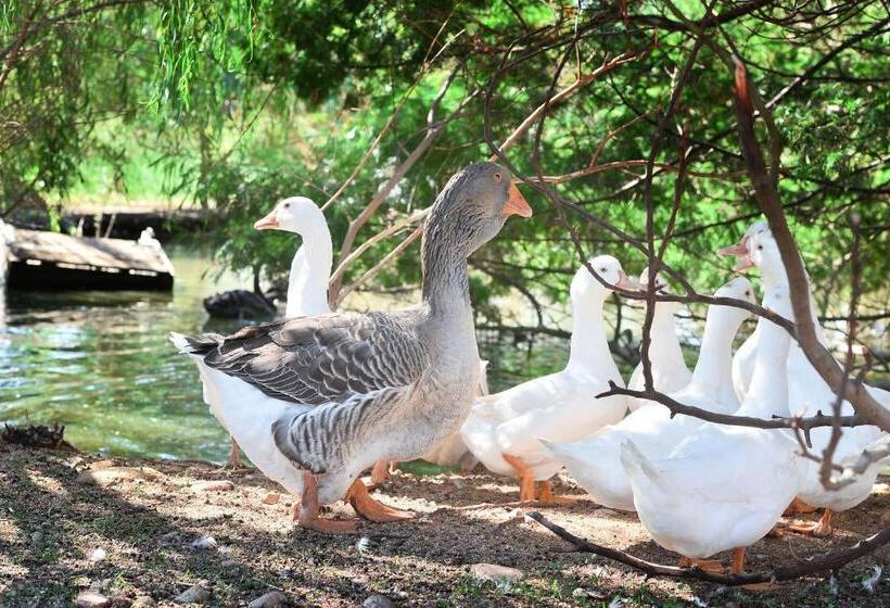 Отель Rurale Orti Di Nora & Spa