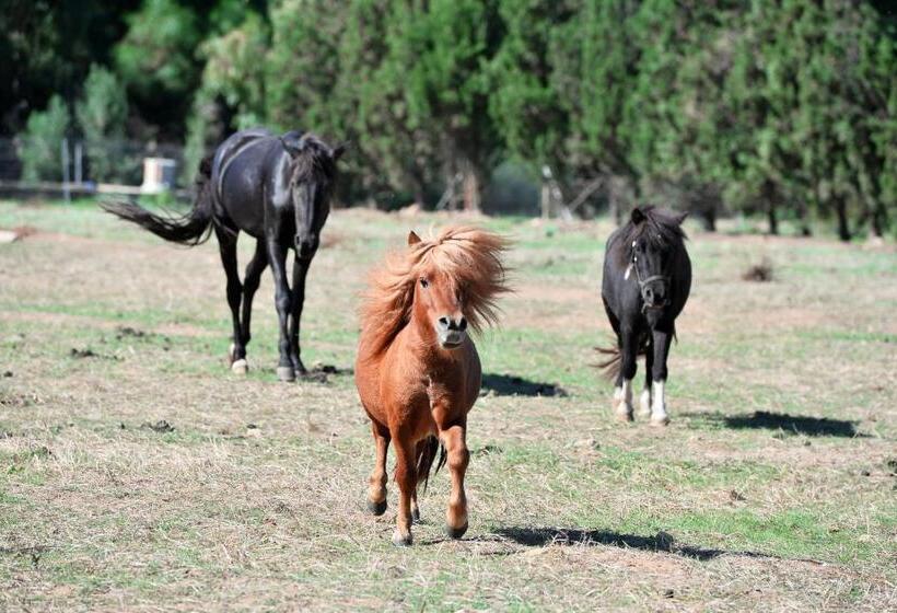 Отель Rurale Orti Di Nora & Spa