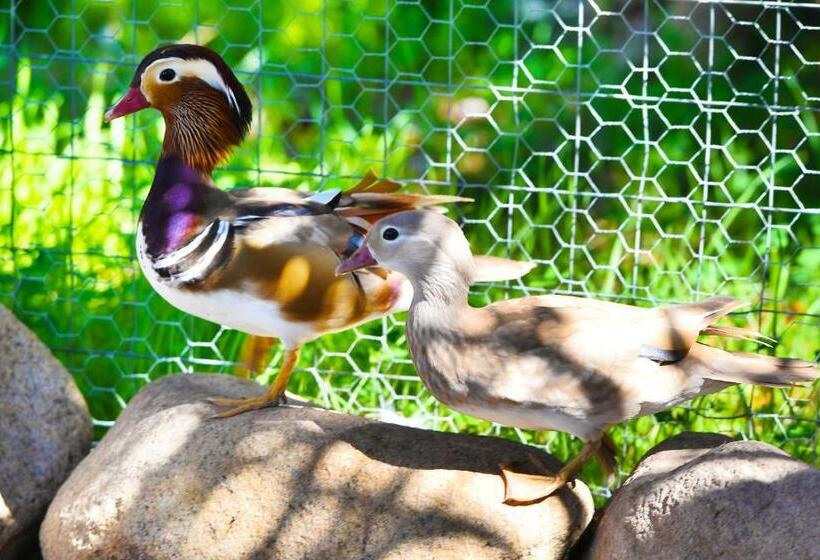 Отель Rurale Orti Di Nora & Spa