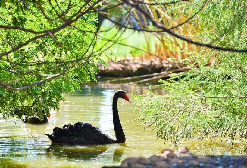 Отель Rurale Orti Di Nora & Spa