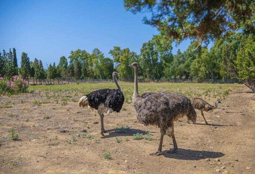 Отель Rurale Orti Di Nora & Spa