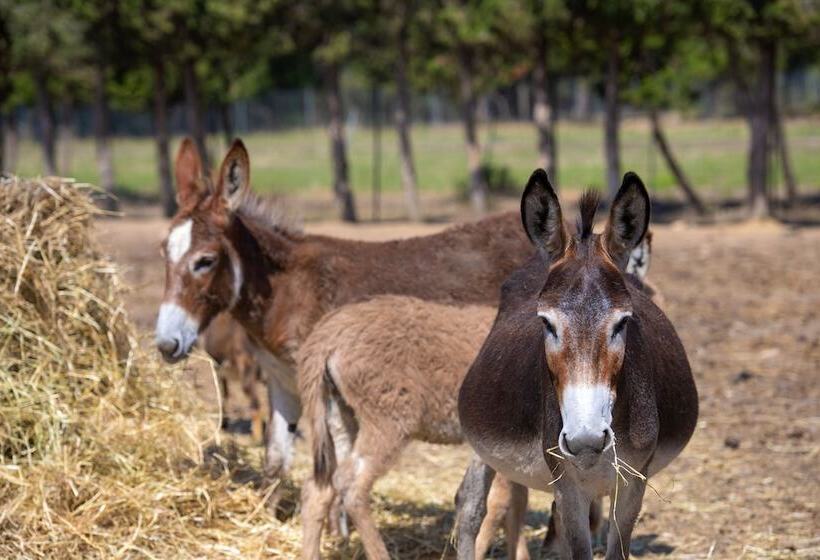 Отель Rurale Orti Di Nora & Spa