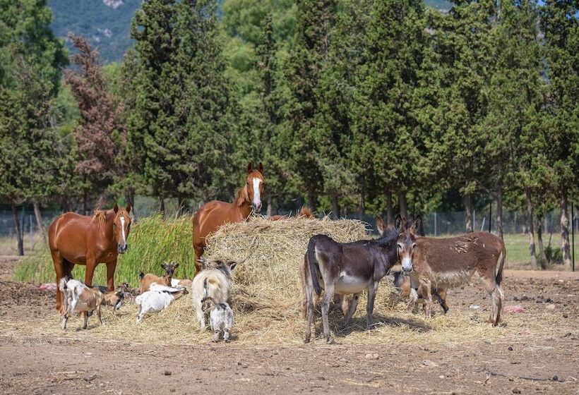 Отель Rurale Orti Di Nora & Spa