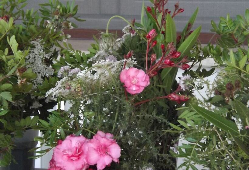 Отель Rurale Orti Di Nora & Spa