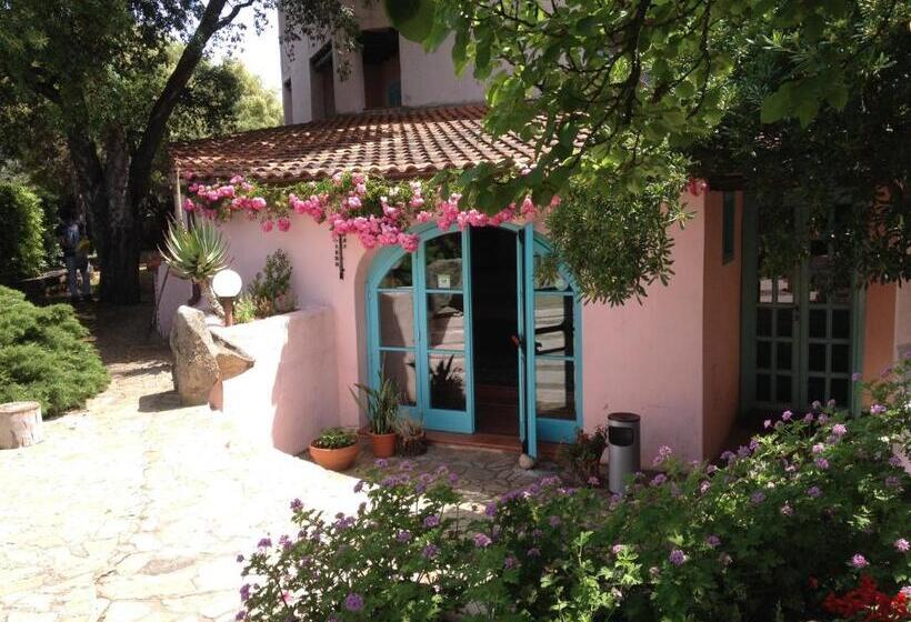 Отель Scintilla