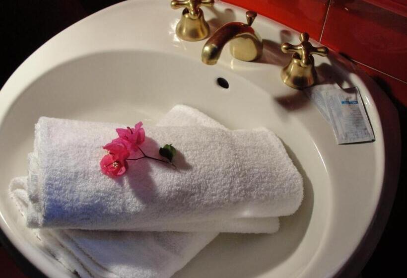 Отель Scintilla