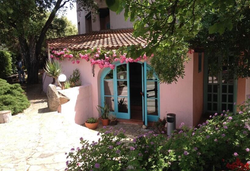 Отель Scintilla