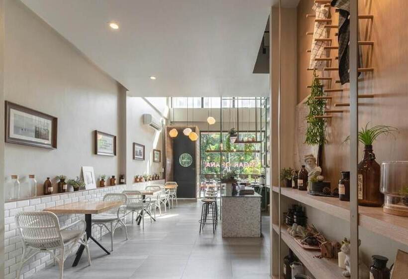 호텔 Sugar Ohana Poshtel