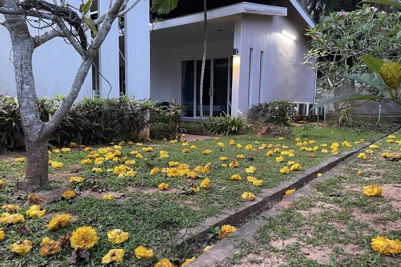 호텔 The Fong Krabi Resort