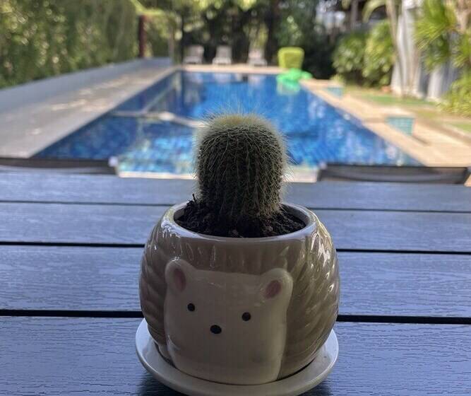 호텔 The Fong Krabi Resort