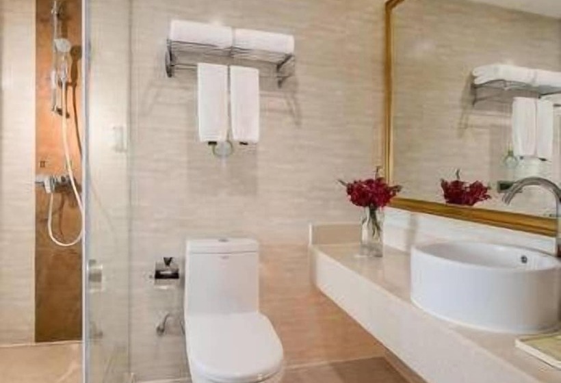 Vienna Hotel Heyuan Hongxing Road