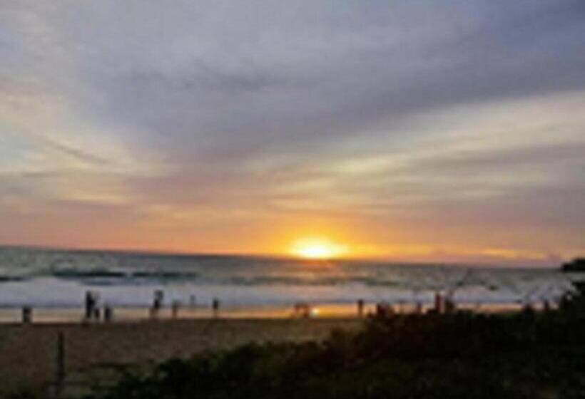 Catnip Seaside Hotel&cafe