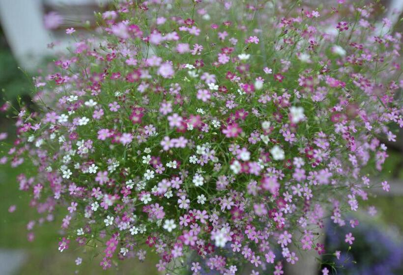 Le Patta Hotel Chiang Rai Sha Extra Plus