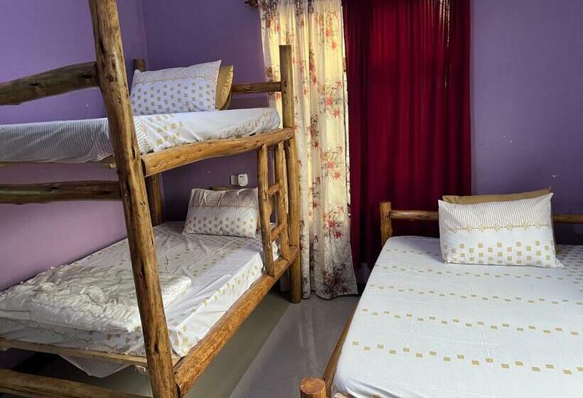 旅馆 Evelina House