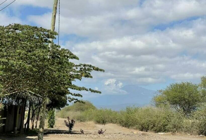 旅馆 Evelina House