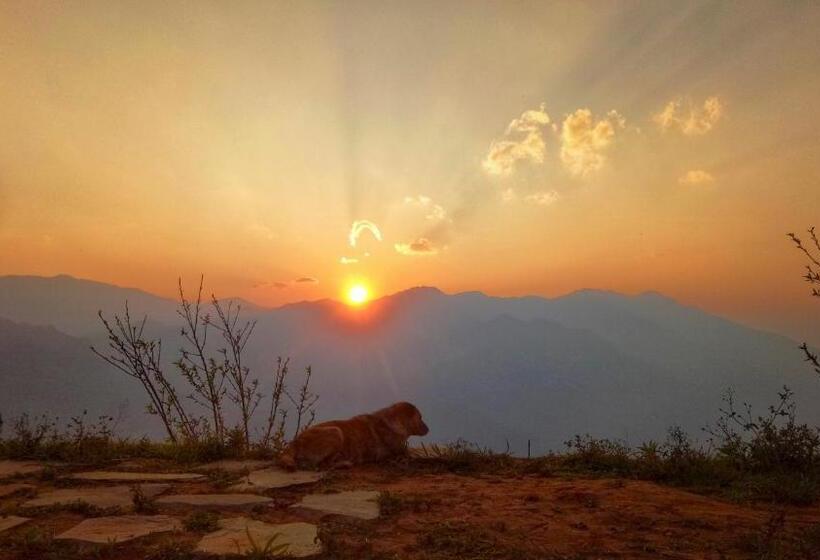 تختخواب و صبحانه A Su Homestay Mù Cang Chải