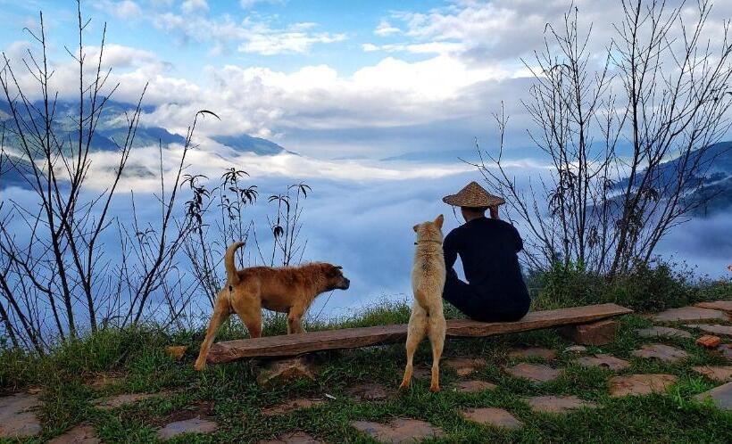 تختخواب و صبحانه A Su Homestay Mù Cang Chải