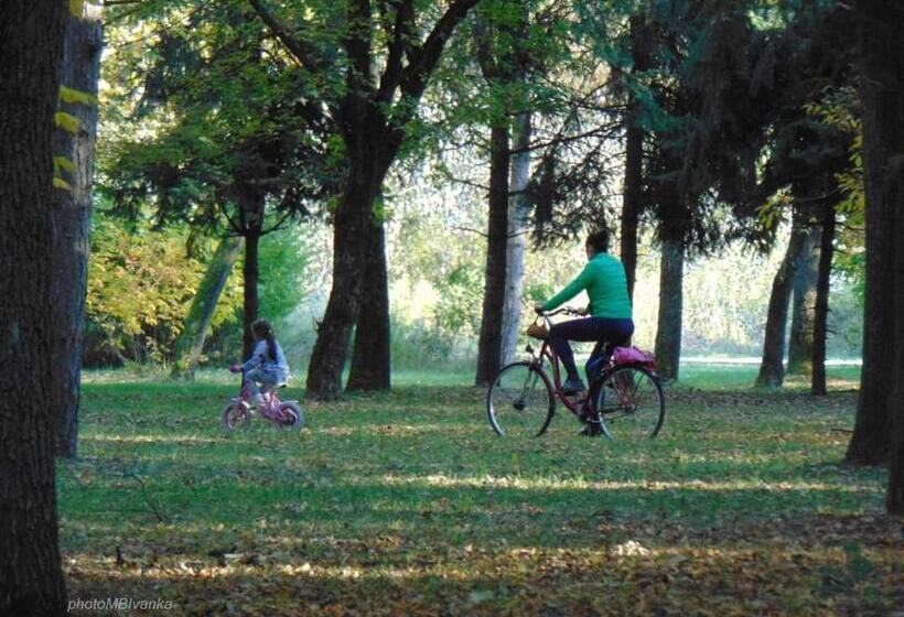 تختخواب و صبحانه Cottage Spa Ada