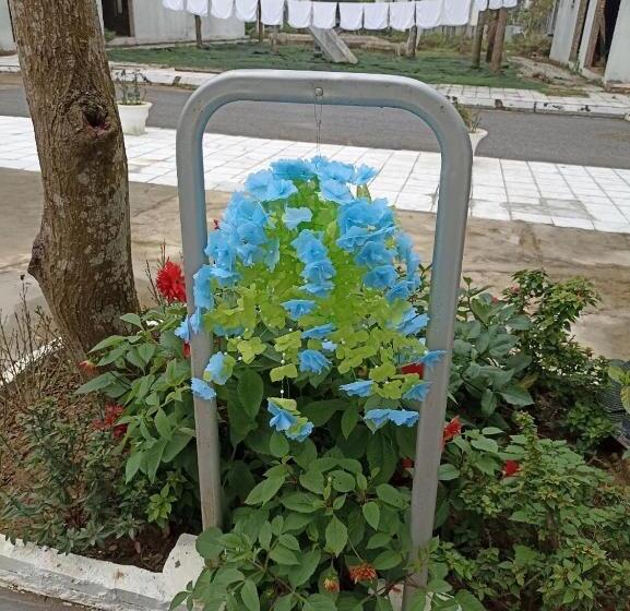 تختخواب و صبحانه Khách Sạn Xanh Tốt Flc Sầm Sơn