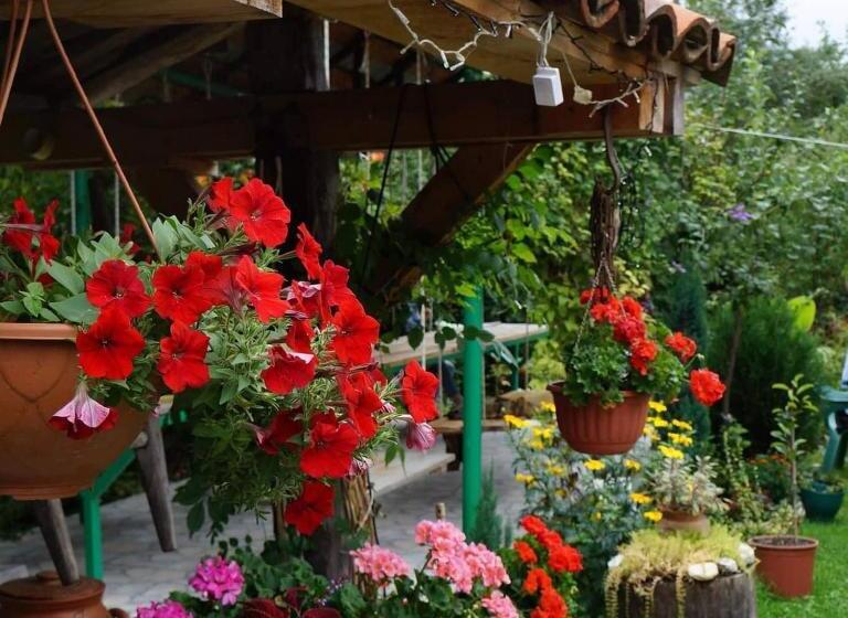 تختخواب و صبحانه Leila S Guest House